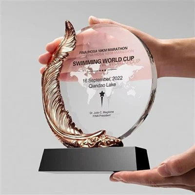Metal Edge Crystal Trophy