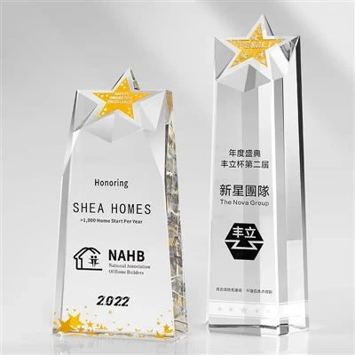 Star Award Trophy